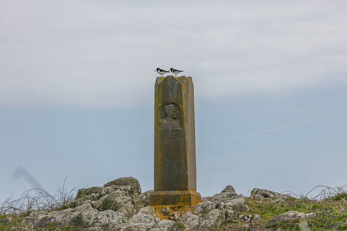 Ireland May 2016 (52)